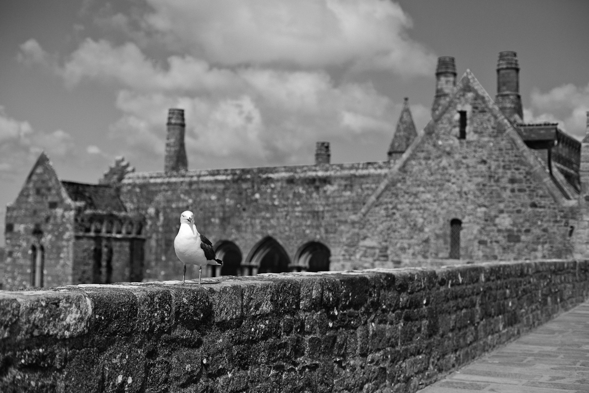 IMG_7218-Edit